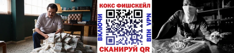Купить закладки  Кингисепп  COCAIN Эквадор 