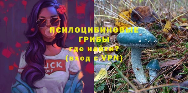 мяу мяу мука Карталы