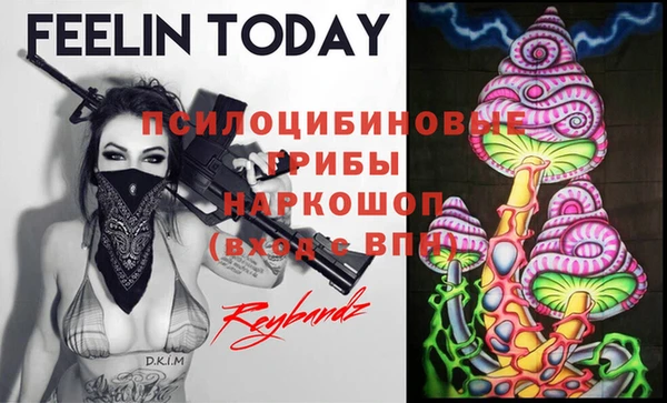 ГАЛЛЮЦИНОГЕННЫЕ ГРИБЫ Карпинск