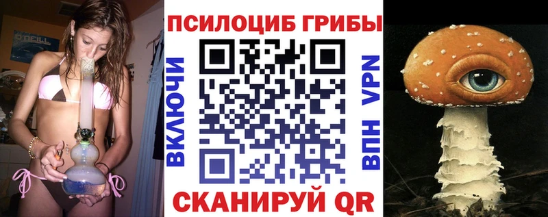 Купить где  Кингисепп  Галлюциногенные грибы Magic Shrooms 