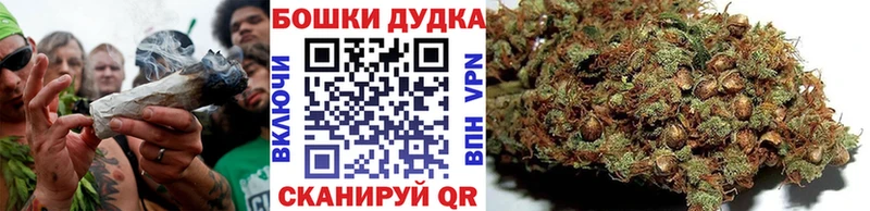 Купить где  Кингисепп  Бошки Шишки White Widow 